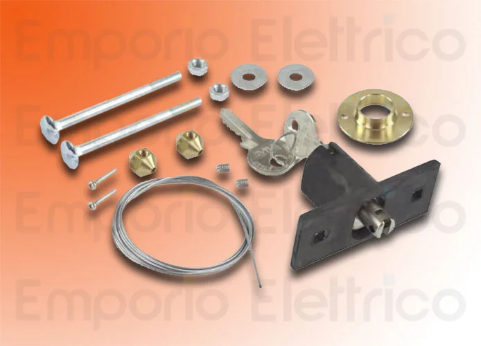 faac desbloqueo externo con llave ( x d600-d700hs-d1000 ) 424591001/36