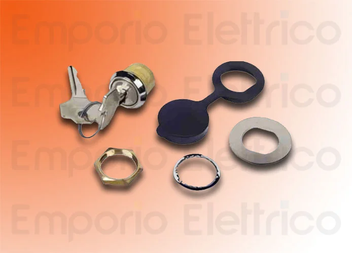 faac desbloqueo externo con llave personalizada 424550001/50