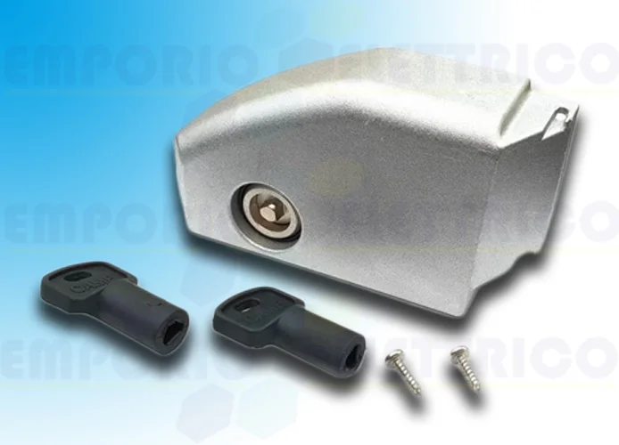 came reemplazo puerta de acceso y desbloqueo bx 119ribx008