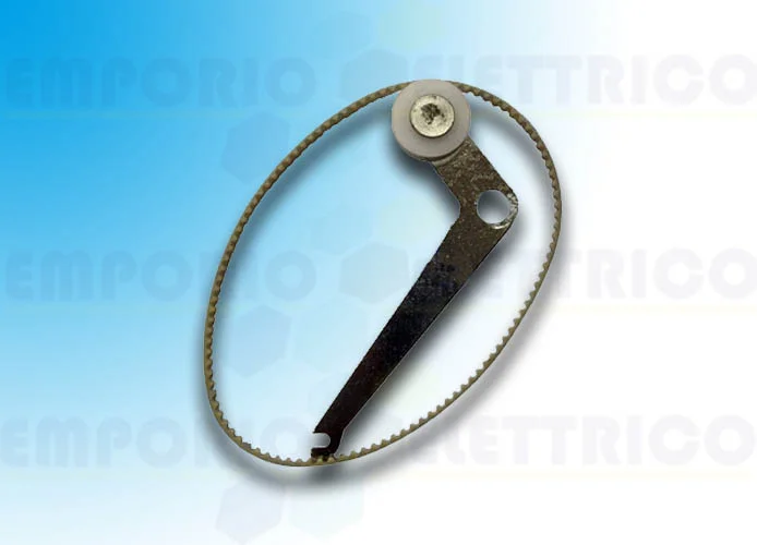 came reemplazo tensor de correa y correa c-bx 119ricx024