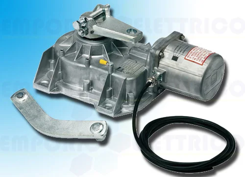 came página repuestos para motores frog