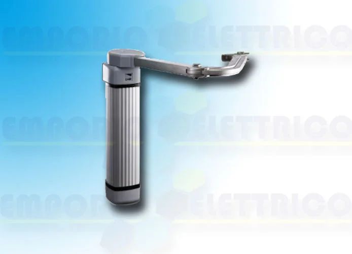 came página repuestos para motores f500