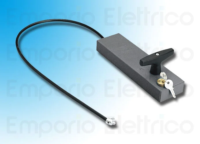 came empuñadura de desbloqueo con llave personalizada 001cms cms