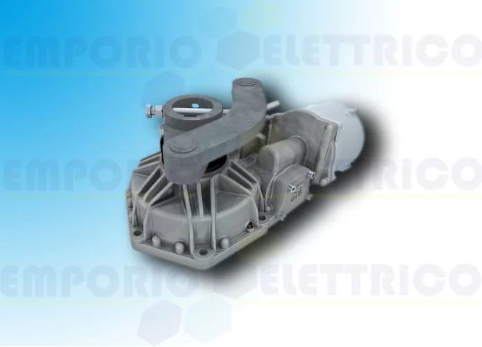 came página repuestos para motores frog plus