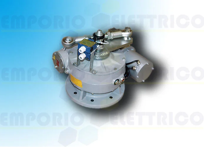 came página repuestos para motor frog-ms