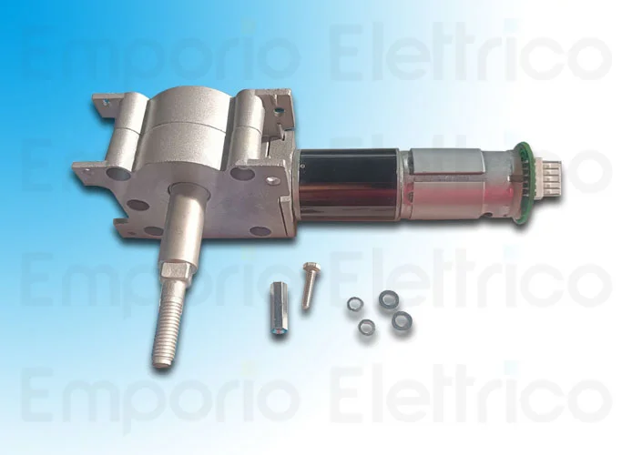 came reemplazo original grupo motorreductor dx voila 119rid487